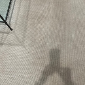 Photo of All Green Carpet Cleaning