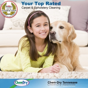 Photo of Chem-Dry of Nashville