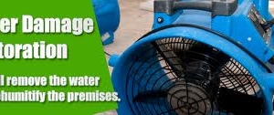 Photo of Guaranteed Carpet Cleaning
