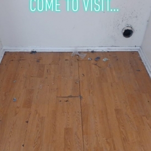 Photo of Enviromaids Austin