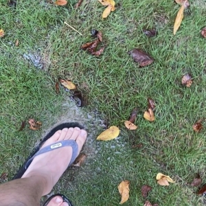 Photo of Atlanta Sod Company