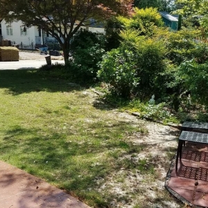 Photo of Atlanta Sod Company
