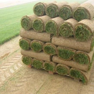Photo of Bush Sod Farms
