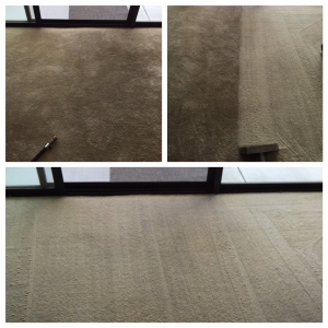 Photo of Pacific Shores Carpet Care