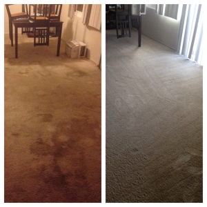 Photo of Pacific Shores Carpet Care