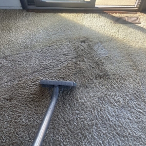 Photo of Pacific Shores Carpet Care