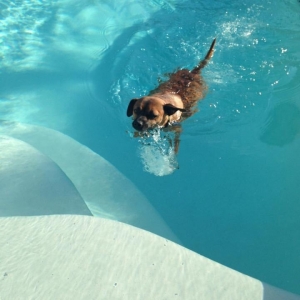 Photo of Annabella's Pool Cleaning Service