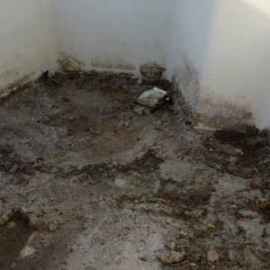 Photo of Annabella's Pool Cleaning Service