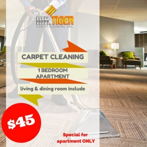 Photo of Mr. Tiger Carpet Cleaning