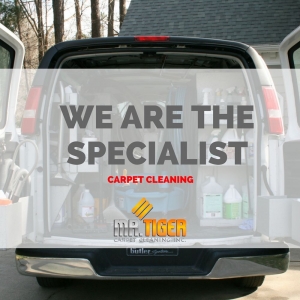 Photo of Mr. Tiger Carpet Cleaning