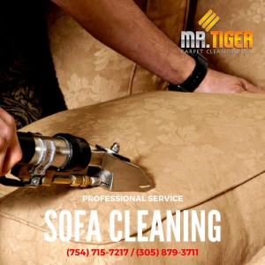 Photo of Mr. Tiger Carpet Cleaning