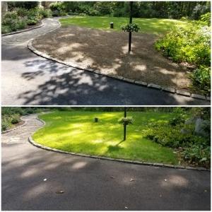 Photo of Mow and Grow Lawn Services