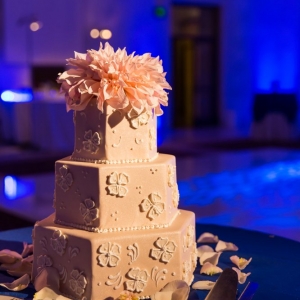 Photo of Allegra Entertainment & Events