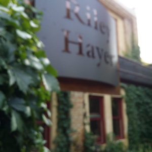 Photo of Riley Hayes