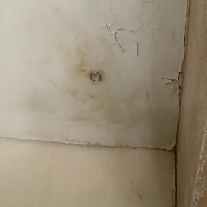 Photo of All Dry Services of Phoenix and East Valley