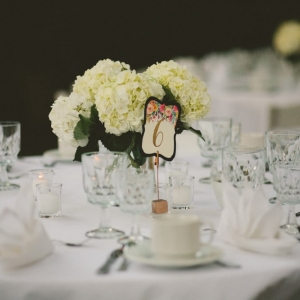 Washington Pollyanna Events
