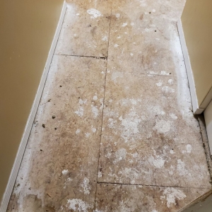 Watertown Action Restoration