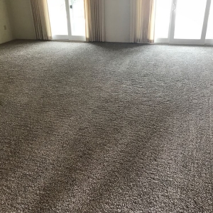 Photo of GCS Carpet Cleaning of Peoria