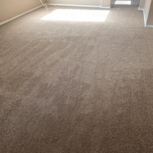 Photo of GCS Carpet Cleaning of Peoria