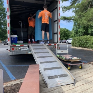 Photo of Tiger Moving
