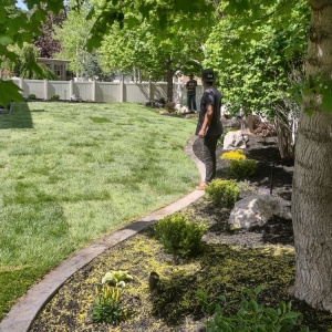 Photo of Cypress Landscaping