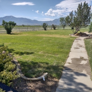 Photo of Cypress Landscaping