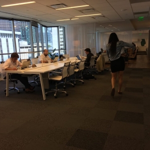 Photo of Wild Pixel Media