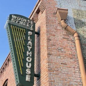 Photo of Woolfe Street Playhouse