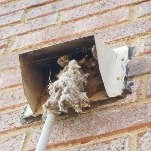 Photo of TX Air Care