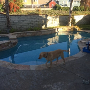 Santa Clarita Kyle Bowen Pool Service