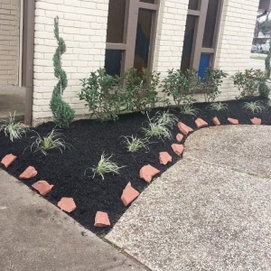 Photo of Brokers Grass