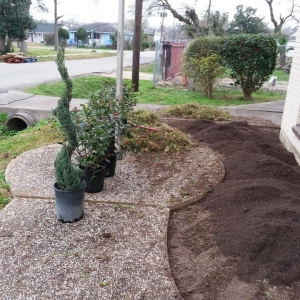 Photo of Brokers Grass