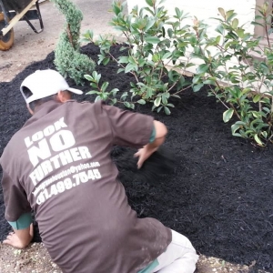 Photo of Brokers Grass