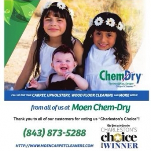 Photo of Moen Chem-Dry