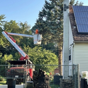 Photo of Davis Tree Work