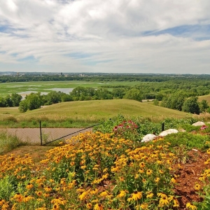 Photo of Cheryl Eastbourne- Edina Realty