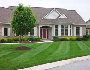 Photo of Alliance Lawn Care