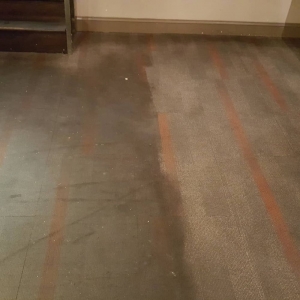 Photo of Washington Cleaning Services