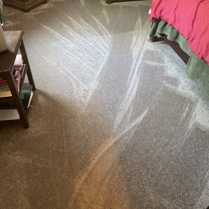 Photo of Washington Cleaning Services