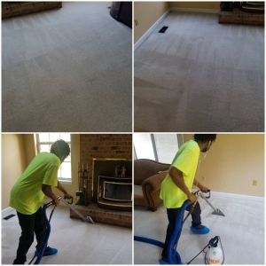 Photo of Washington Cleaning Services