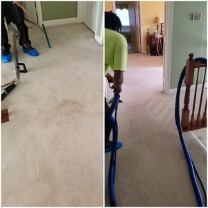 Photo of Washington Cleaning Services