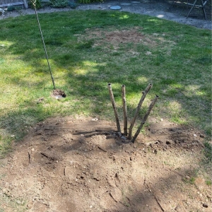 Photo of Rescue Cesspool & Drain