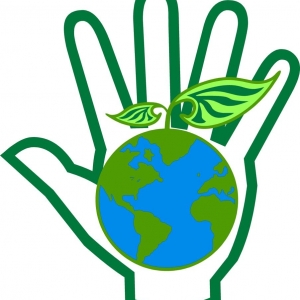 Photo of Hands on Earth Friendly Carpet Cleaning