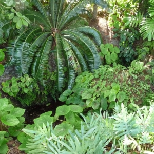 Photo of Back 2 Nature Landscape Design