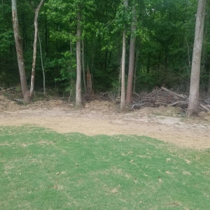 Photo of Atlanta Metro Sod