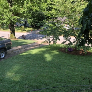 Photo of Atlanta Metro Sod