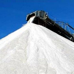 Photo of Professional Salt