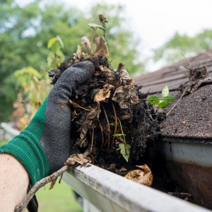 Photo of Rudy Gutter Services