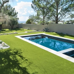 Photo of SYNLawn Utah