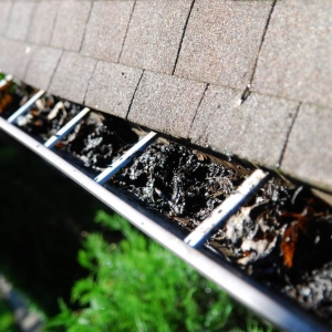 Photo of Ned Stevens Gutter Cleaning